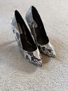 Steve Madden Black & White Snake-Print Pointed Toe Pumps